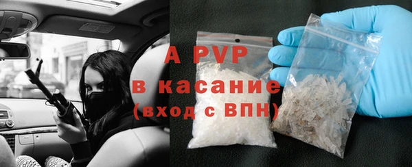 прущие грибы Сатка
