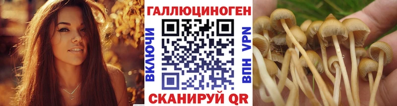 Псилоцибиновые грибы мухоморы  наркота  кракен ССЫЛКА  Подпорожье 