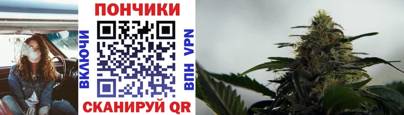 наркошоп  Подпорожье  МАРИХУАНА тримм 